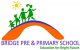 Bridge Pri & Primary School